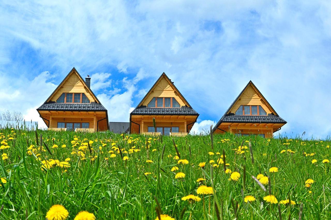 Domki Tatrzanskie Kacina Murzasichle Buitenkant foto