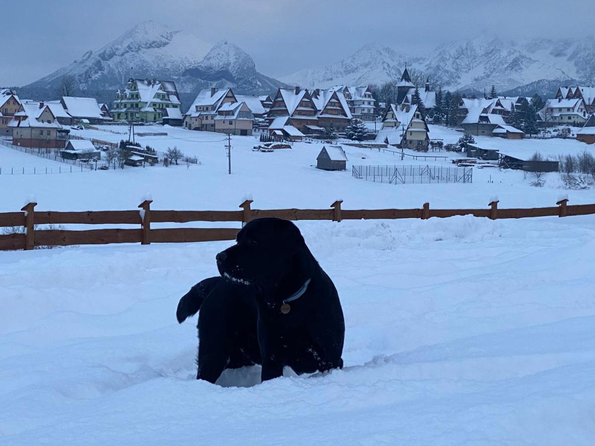 Domki Tatrzanskie Kacina Murzasichle Buitenkant foto