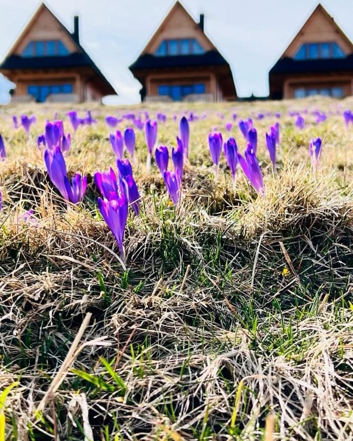 Domki Tatrzanskie Kacina Murzasichle Buitenkant foto
